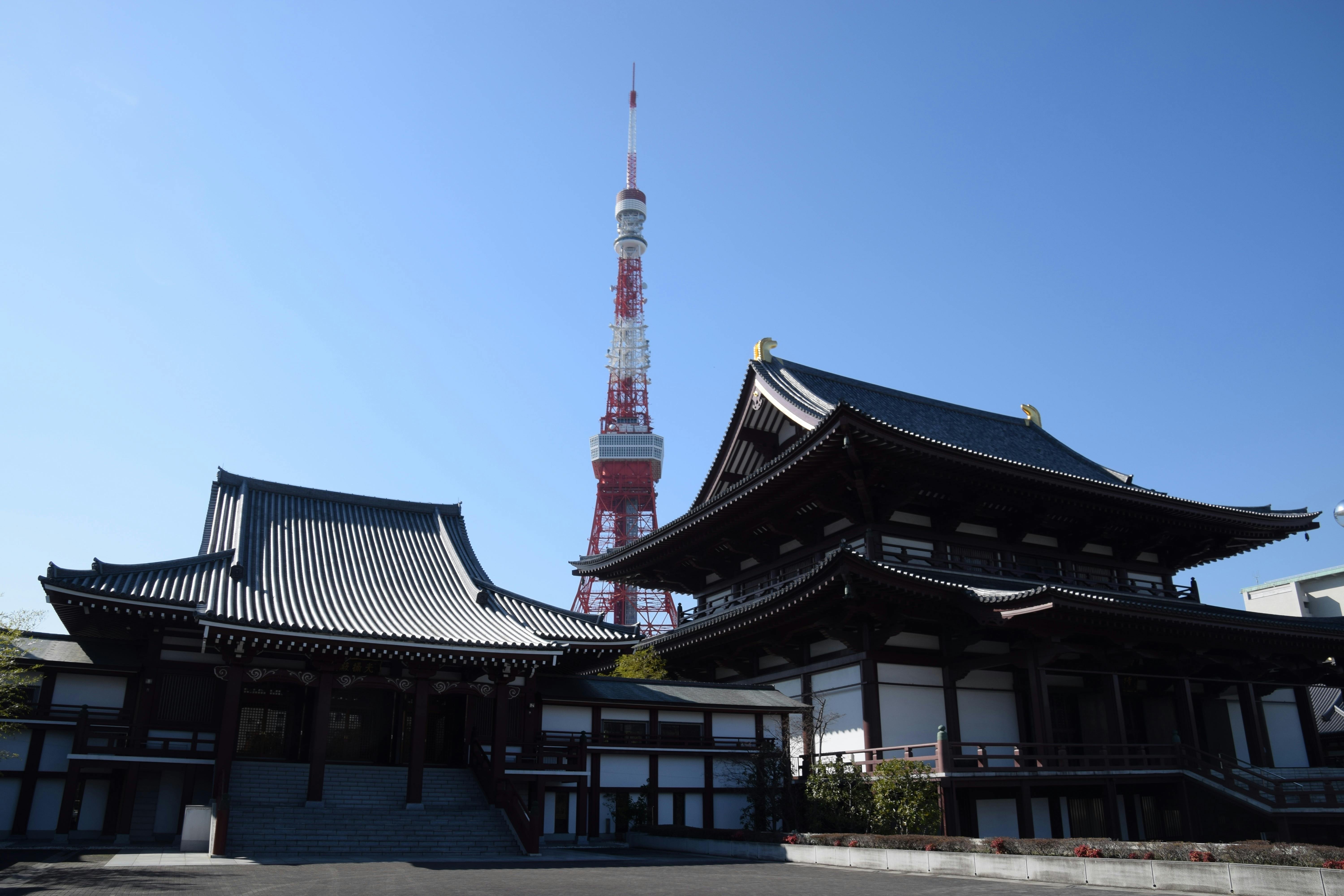 tokyo tower and temples