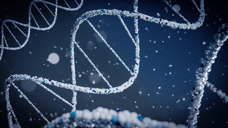 DNA strand science research