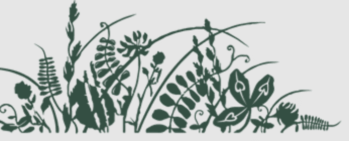 A person wearing the grey coat smiling in a cozy sunlight