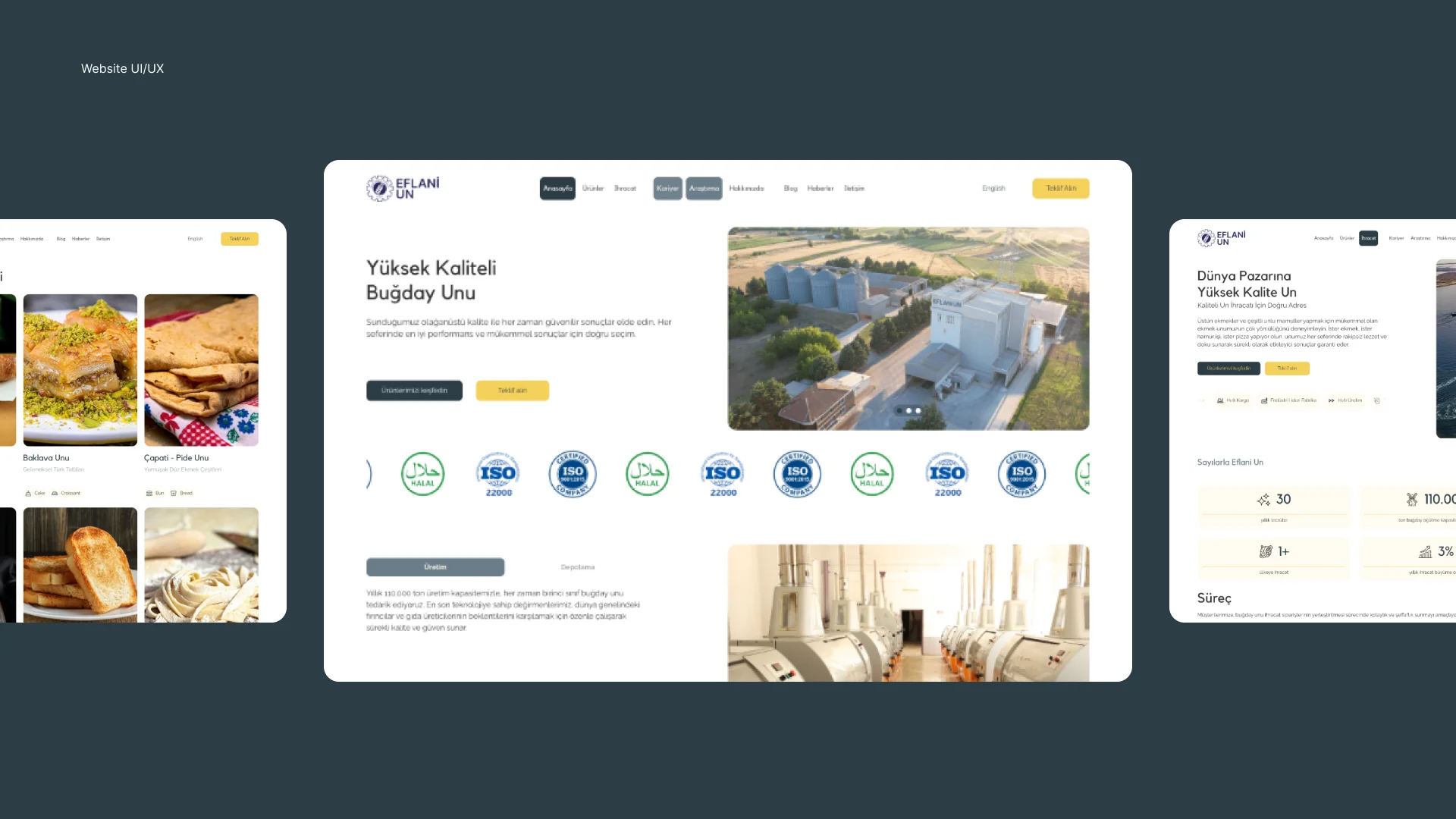Website showcase