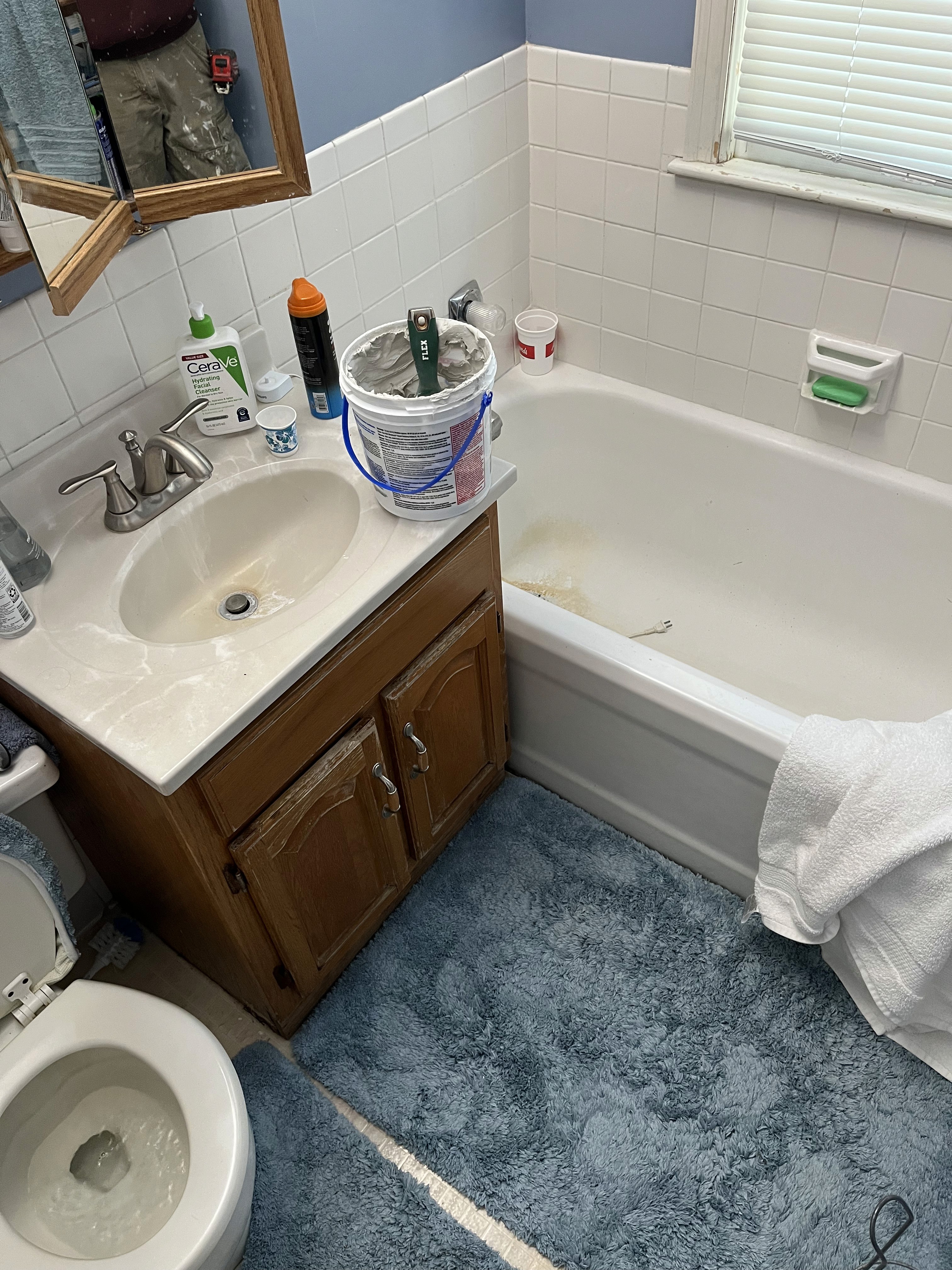 Before Bathroom Update