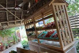 Vegetable and fruit section at Farm Fresh.