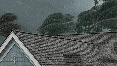 A residential suburb during a violent storm with trees blowing and heavy rain falling.