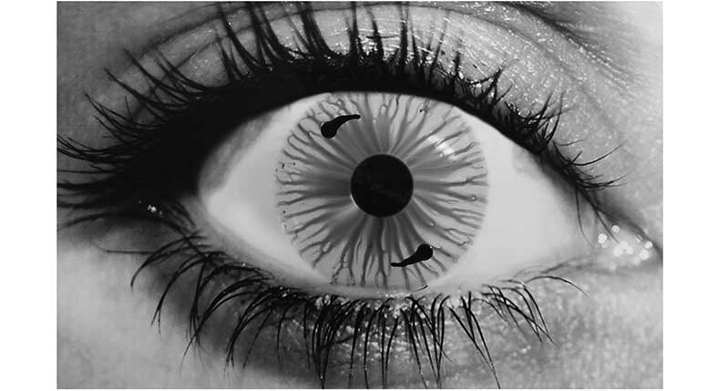 photo of an eye