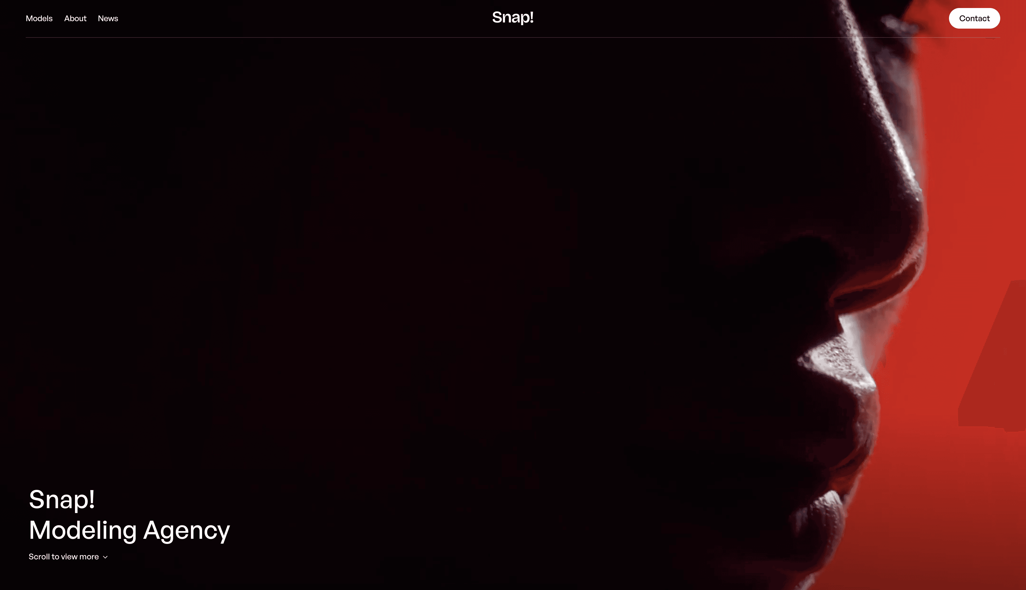 Snap Model Management