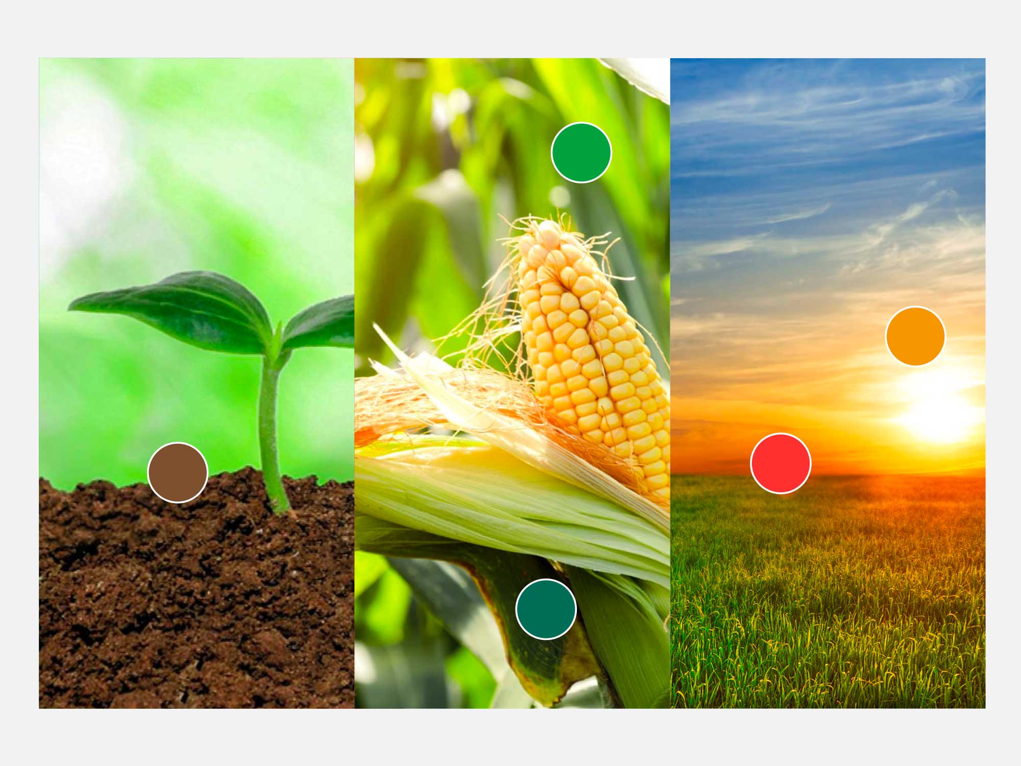 Portfolio project image