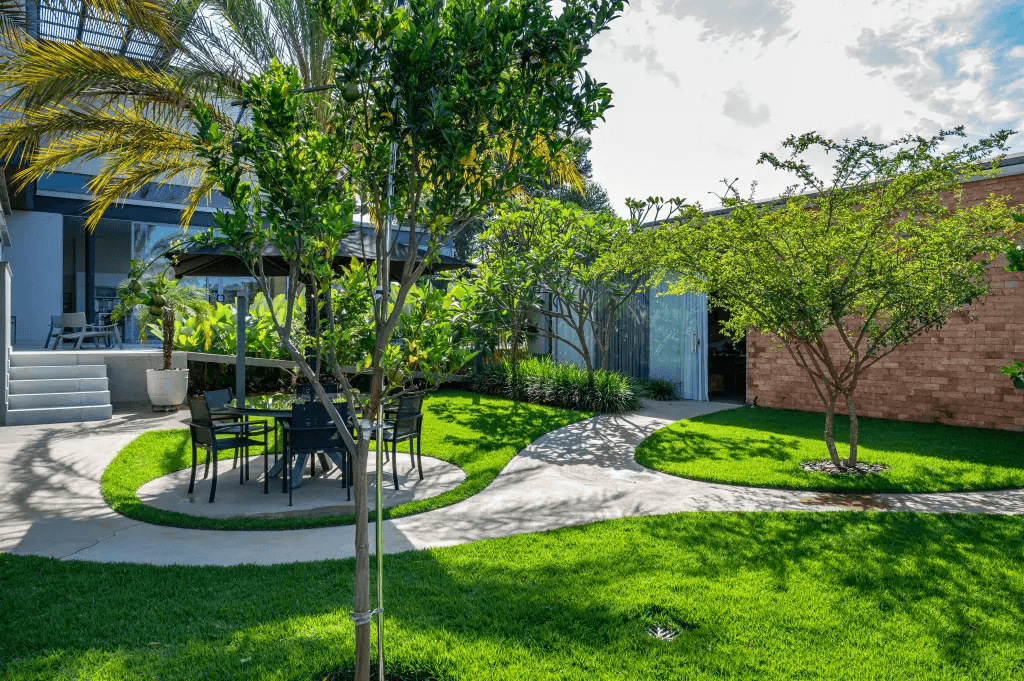A mushroom sits in grassy terrain under trees.