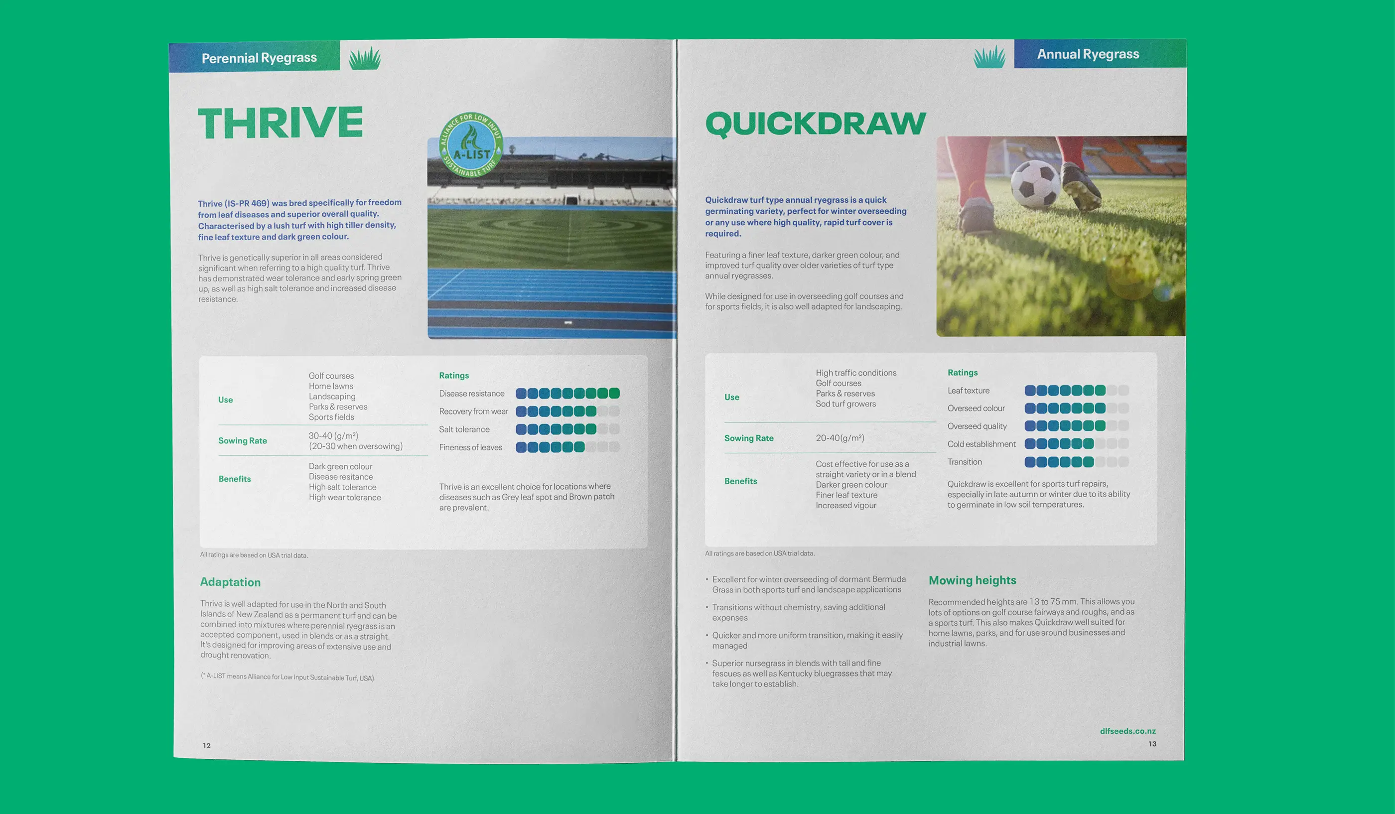 DLF Seeds brand developmet