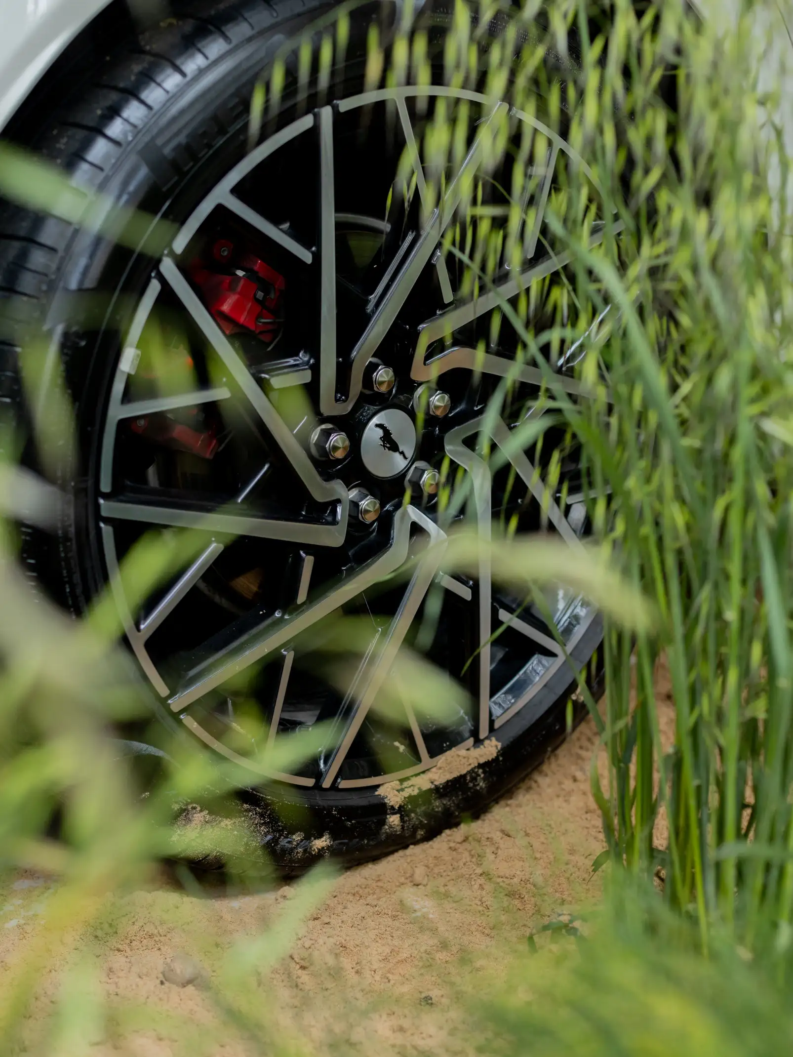 Detalle de llanta negra con pinza roja entre hierbas verdes para fotografía automotriz de enfoque orgánico.