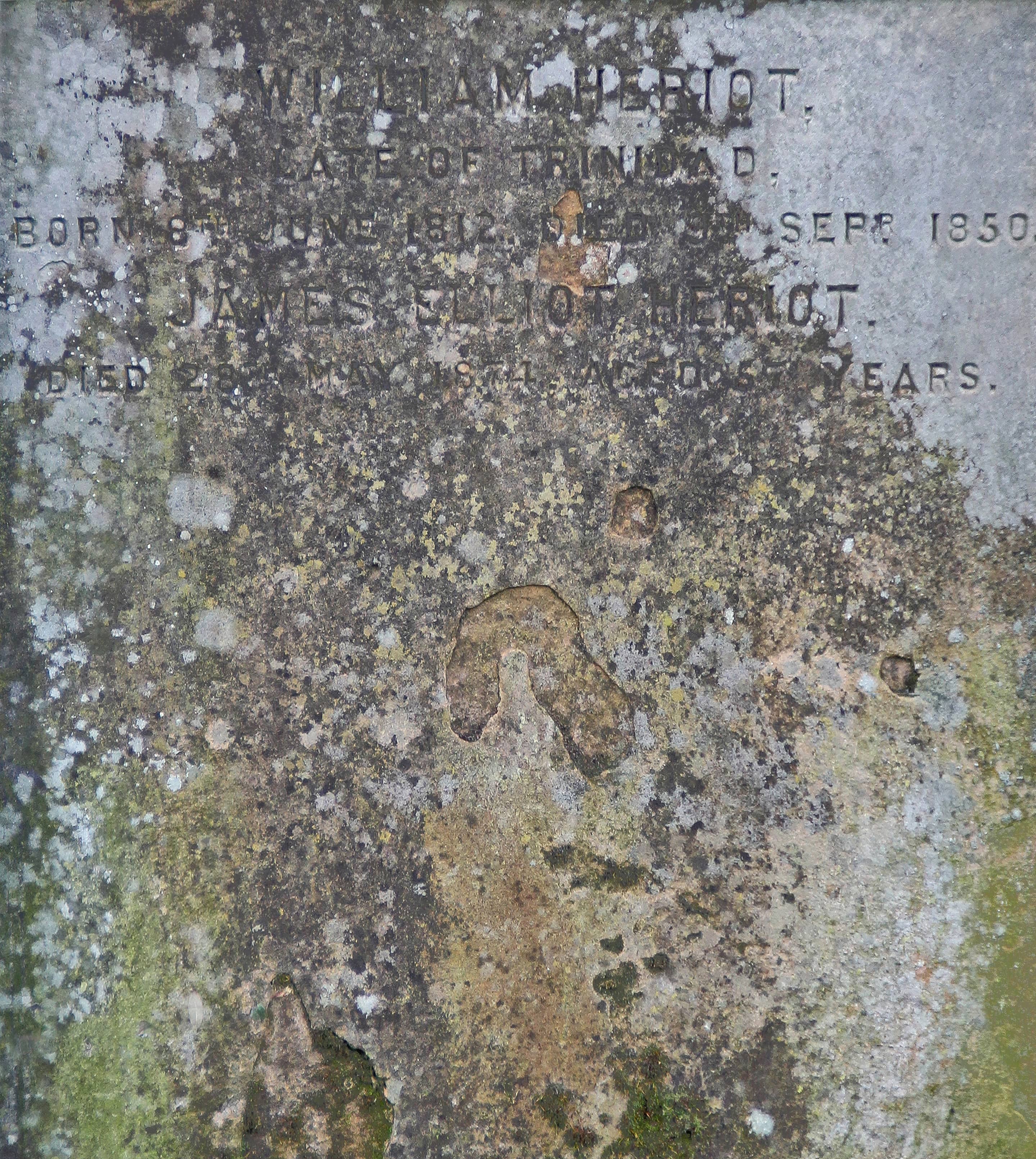 Close-up photograph of a weathered gravestone with faint, partially eroded lettering beneath layers of moss, lichen, and discoloration. The softened text and organic growth reveal the slow fading of memory through time and exposure.