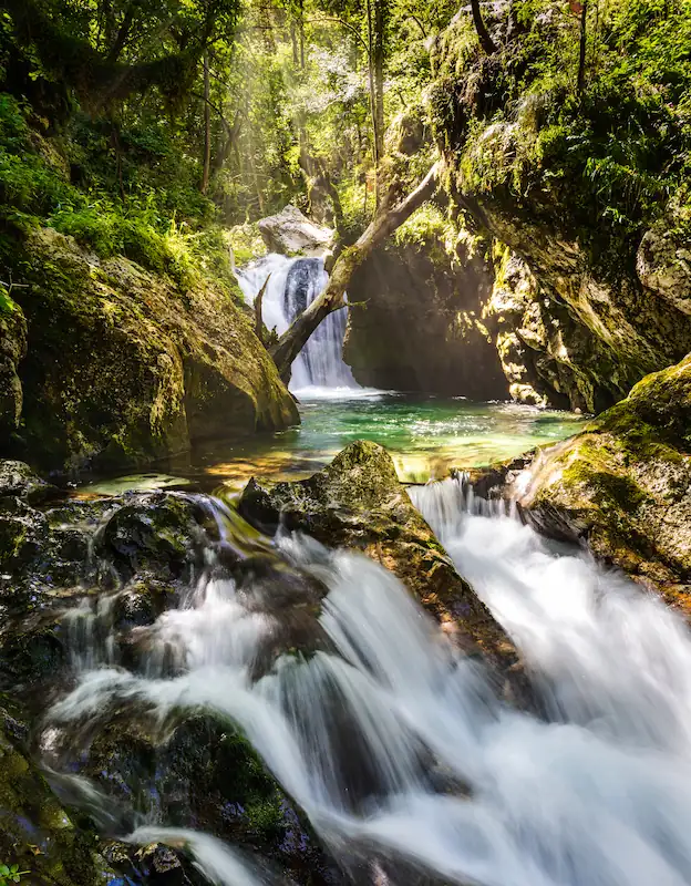 A series of small cascading waterfalls and emerald pools in the mossy, green forest of the Šunik Water Grove in the Lepena Valley.