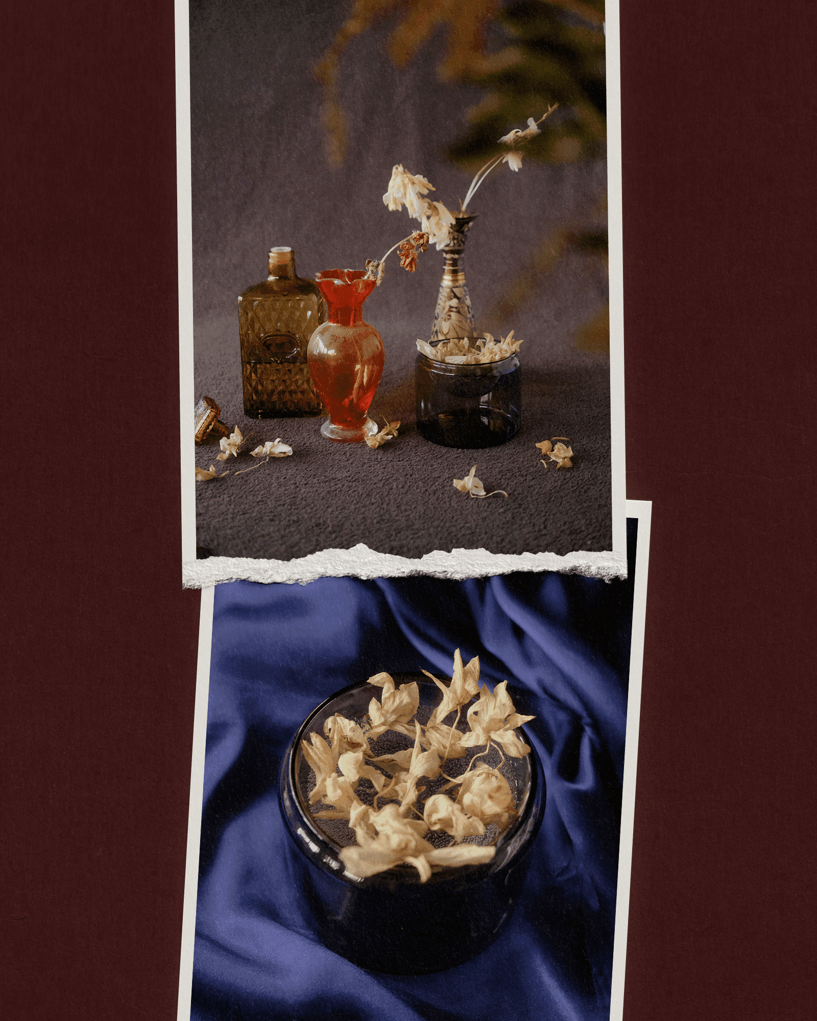 objects of desire - brand identity design & photography by selina donohoe for vintage decorative objects brand