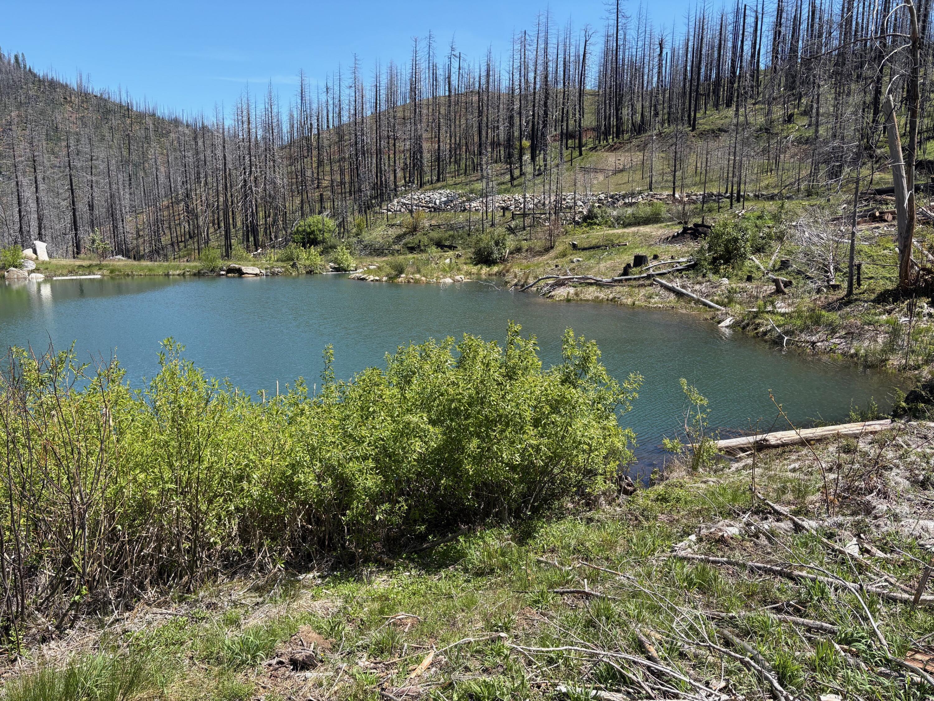 Thumbnail 48