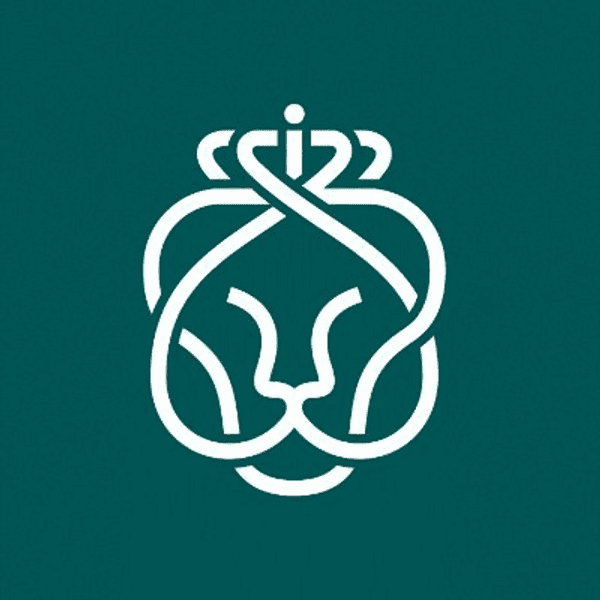 Logo of Ahold Delhaize