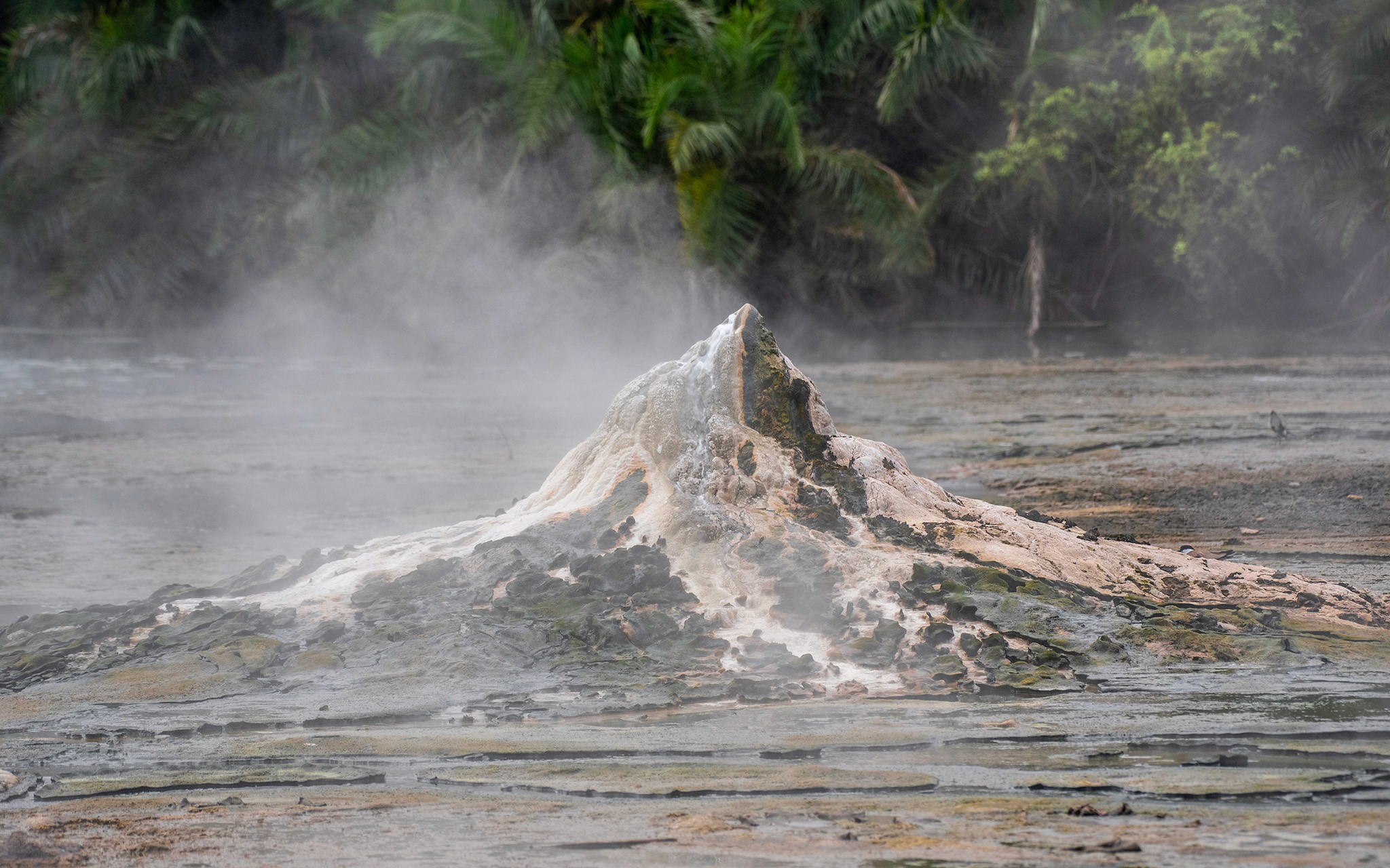 Part of the Male (Bitente) Hot Springs