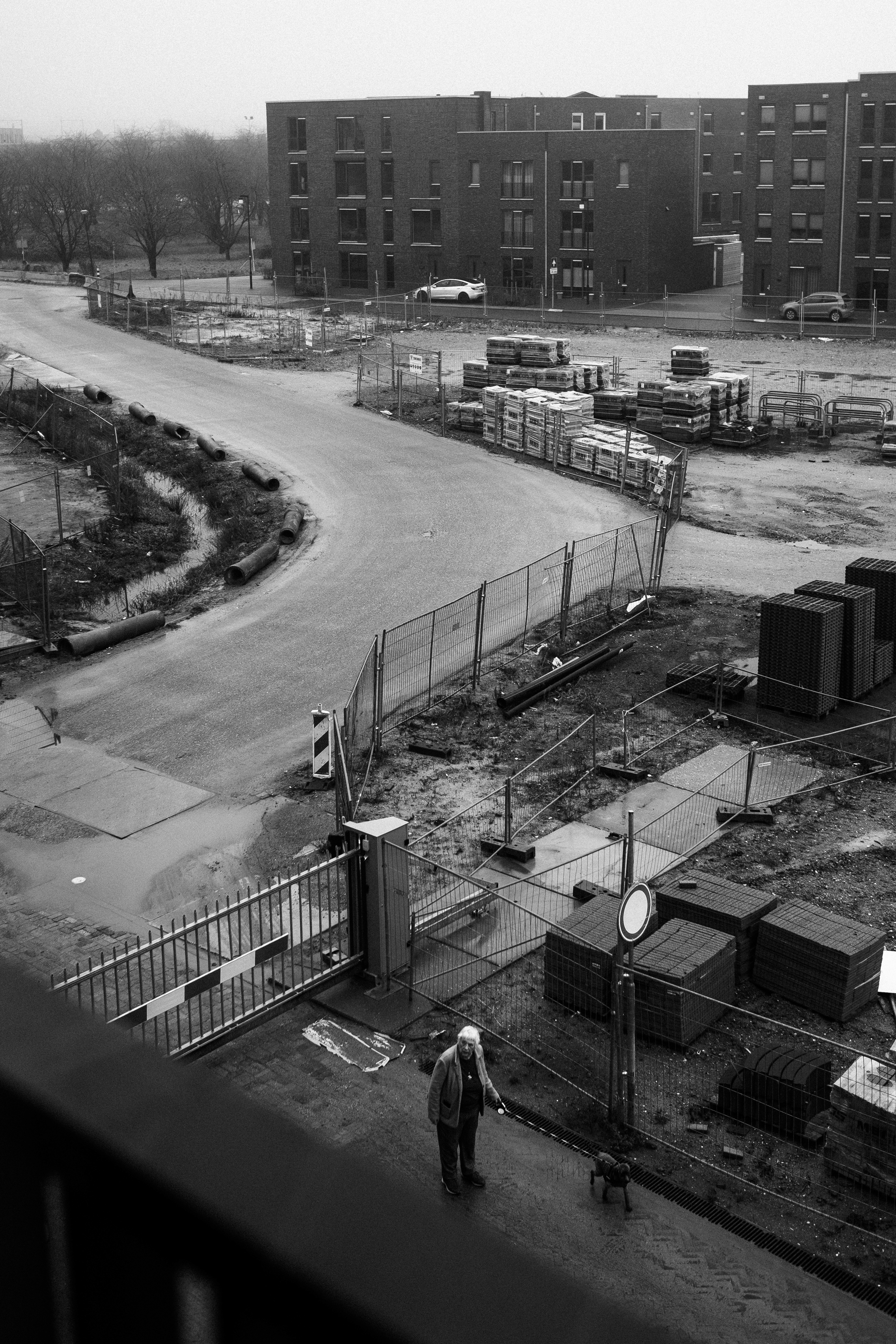 Walker with her dog in a street under construction