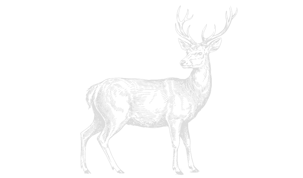 Illustration of prepared oysters