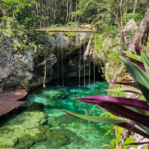 Clear turquoise pond surrounded by lush greenery and rocks, with several rope swings hanging from a wooden bridge above.