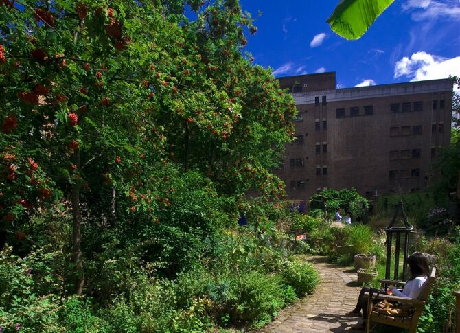 Phoenix Garden, WC2H