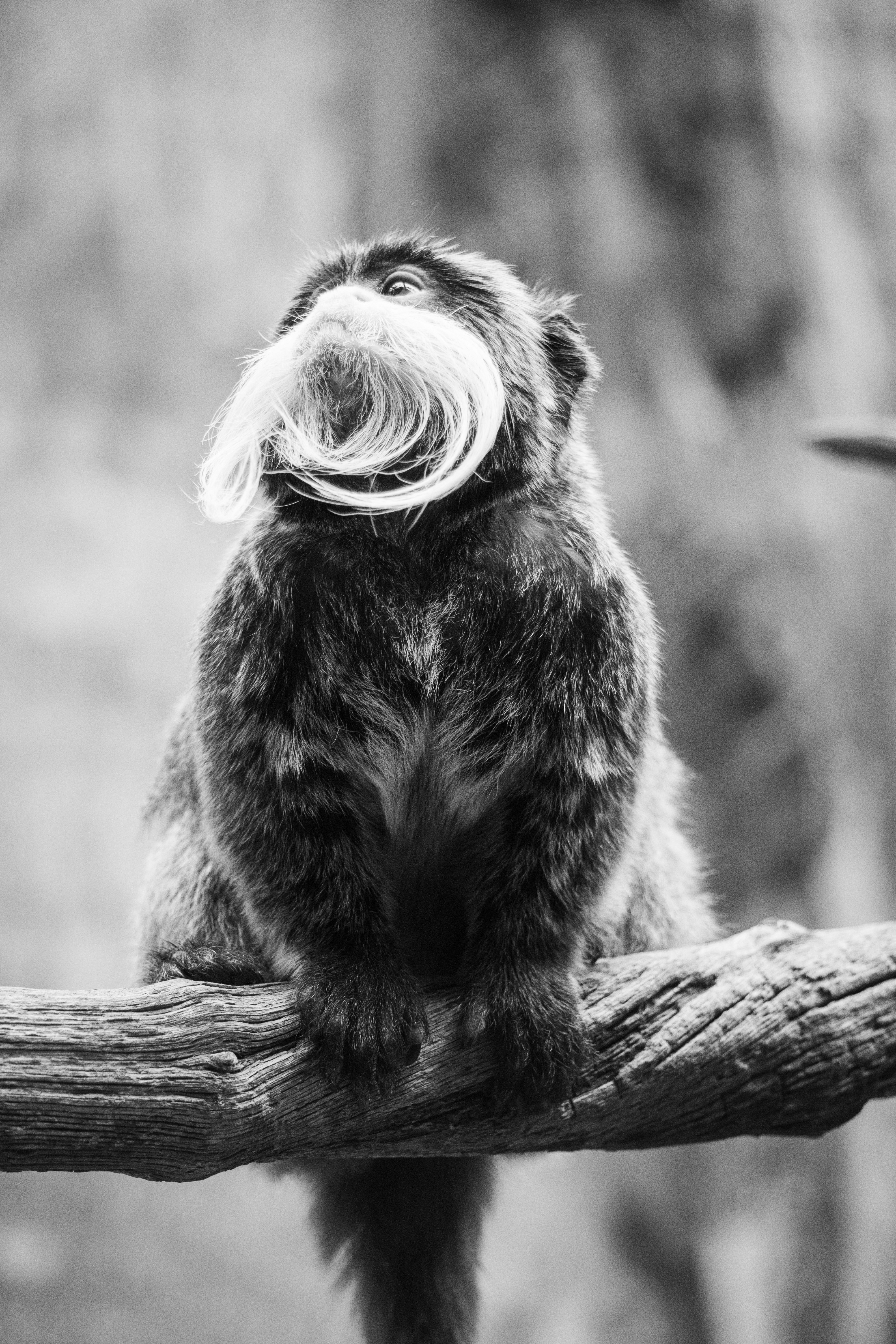 horzon lines Project