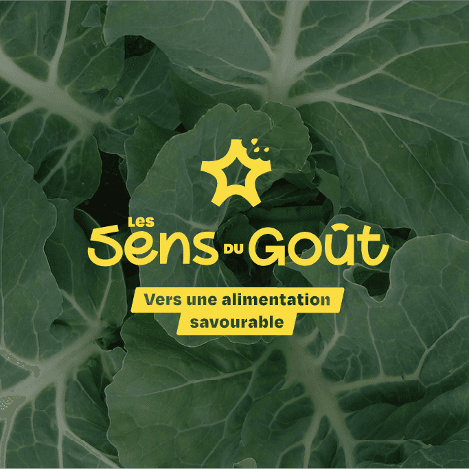 Logo les sens du gout
