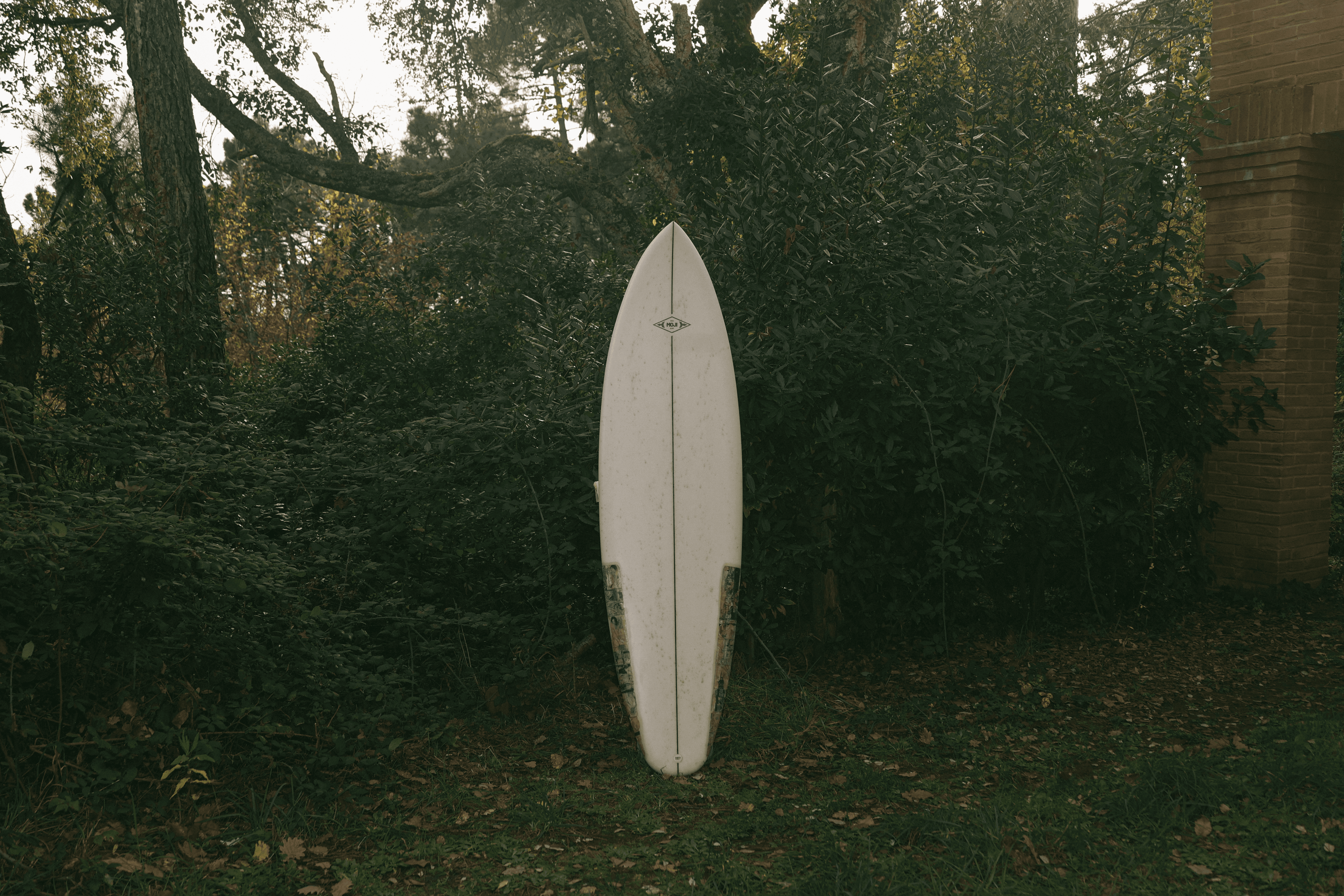 Tavola chiquita con il logo Moji in nero, esposta verticalmente su un prato boscoso.