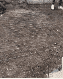 Woman In The Glass Way