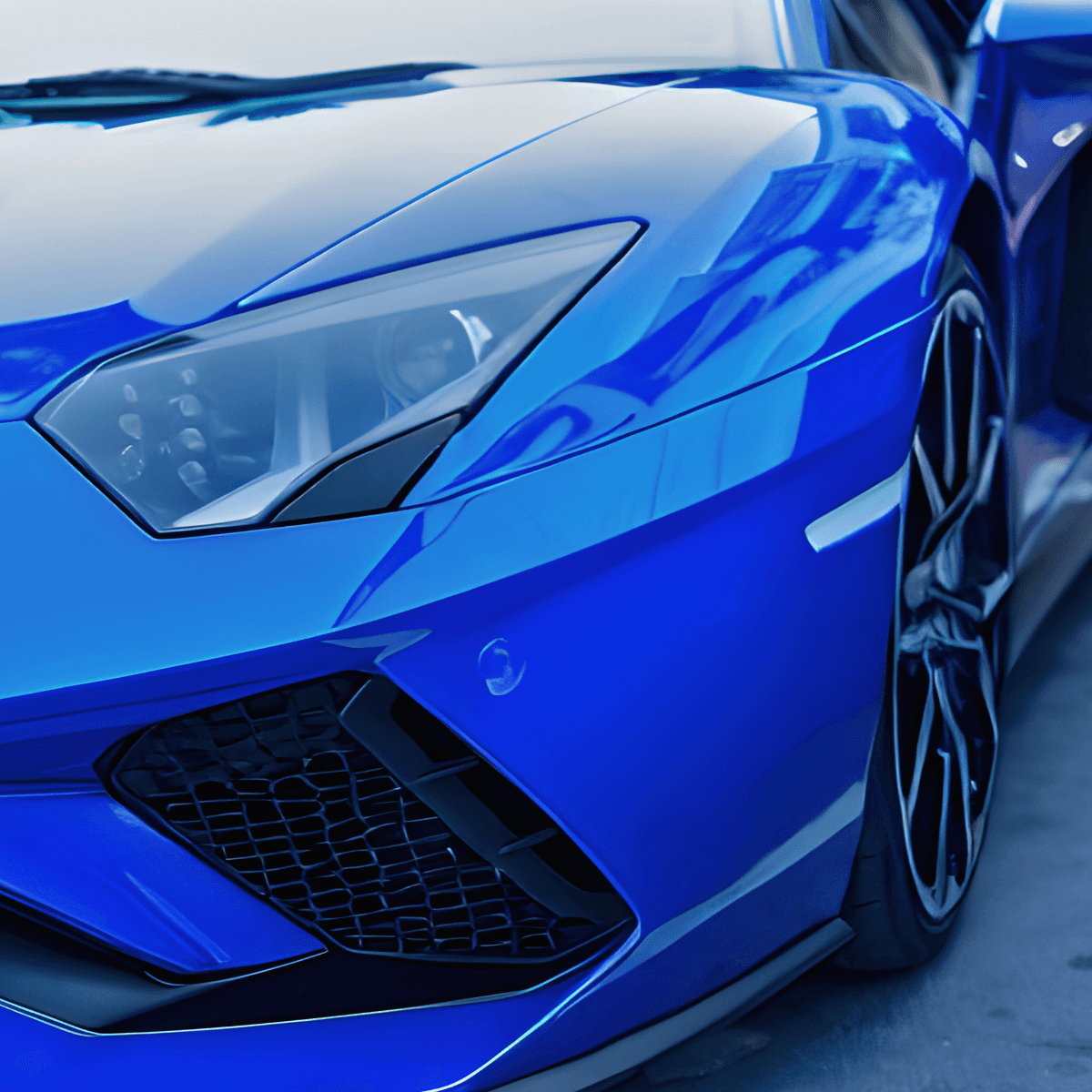 Close-up of a tree stump showing growth rings and a textured brown wood surface.