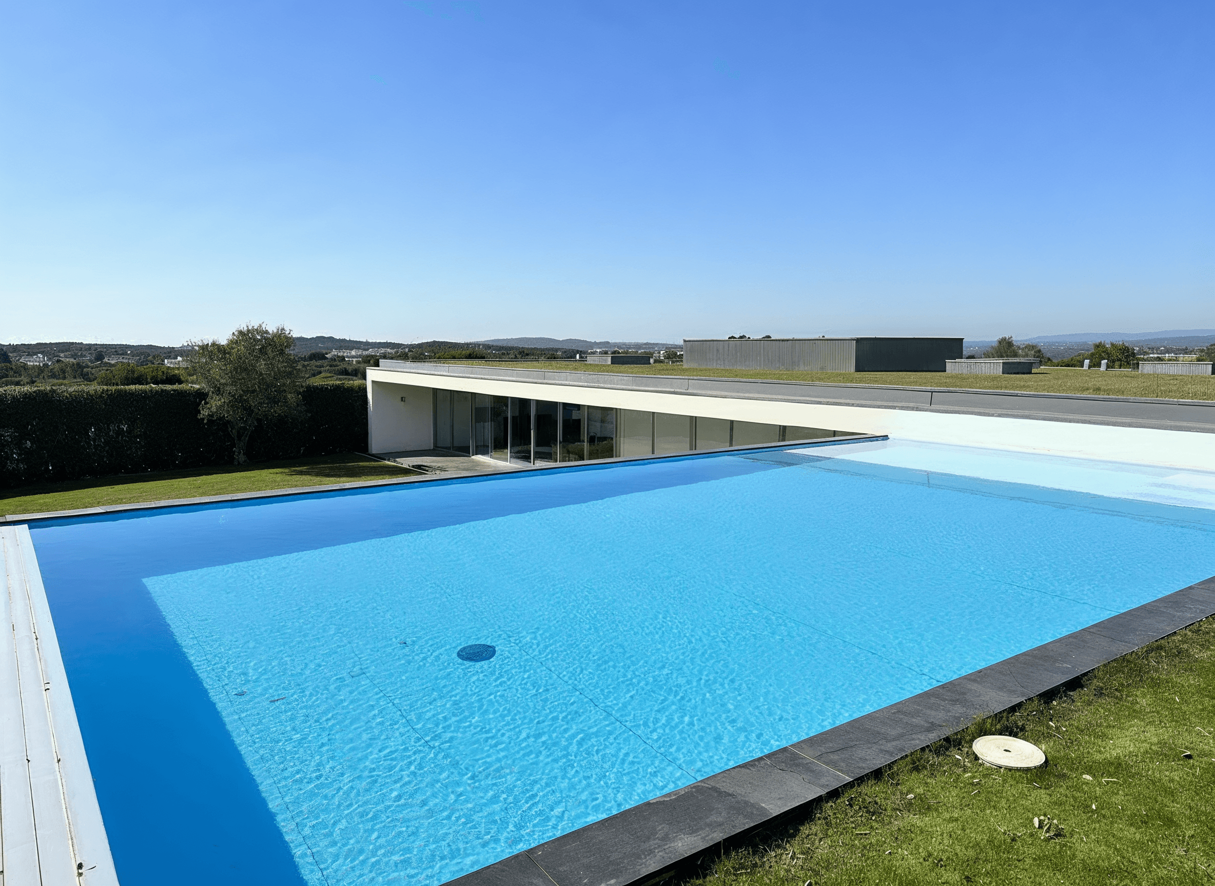 Modern living room with black leather sofas and tree-patterned rug