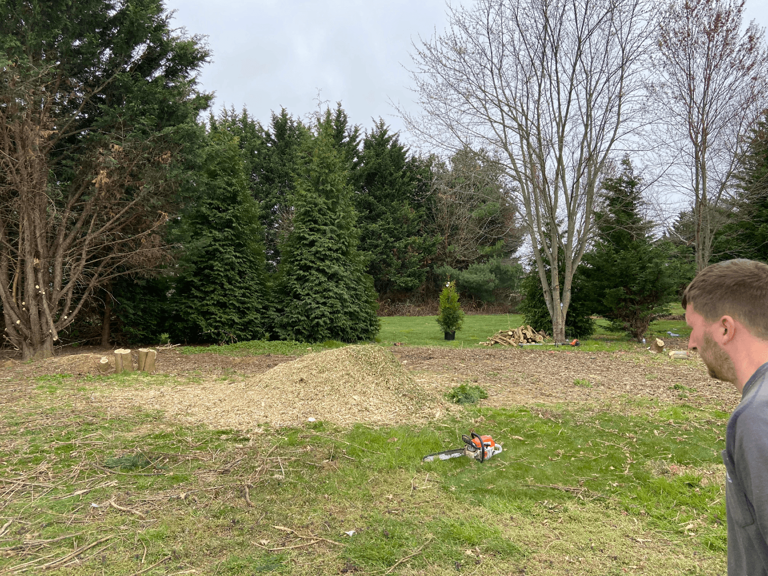 Josh walking around a land clearing job
