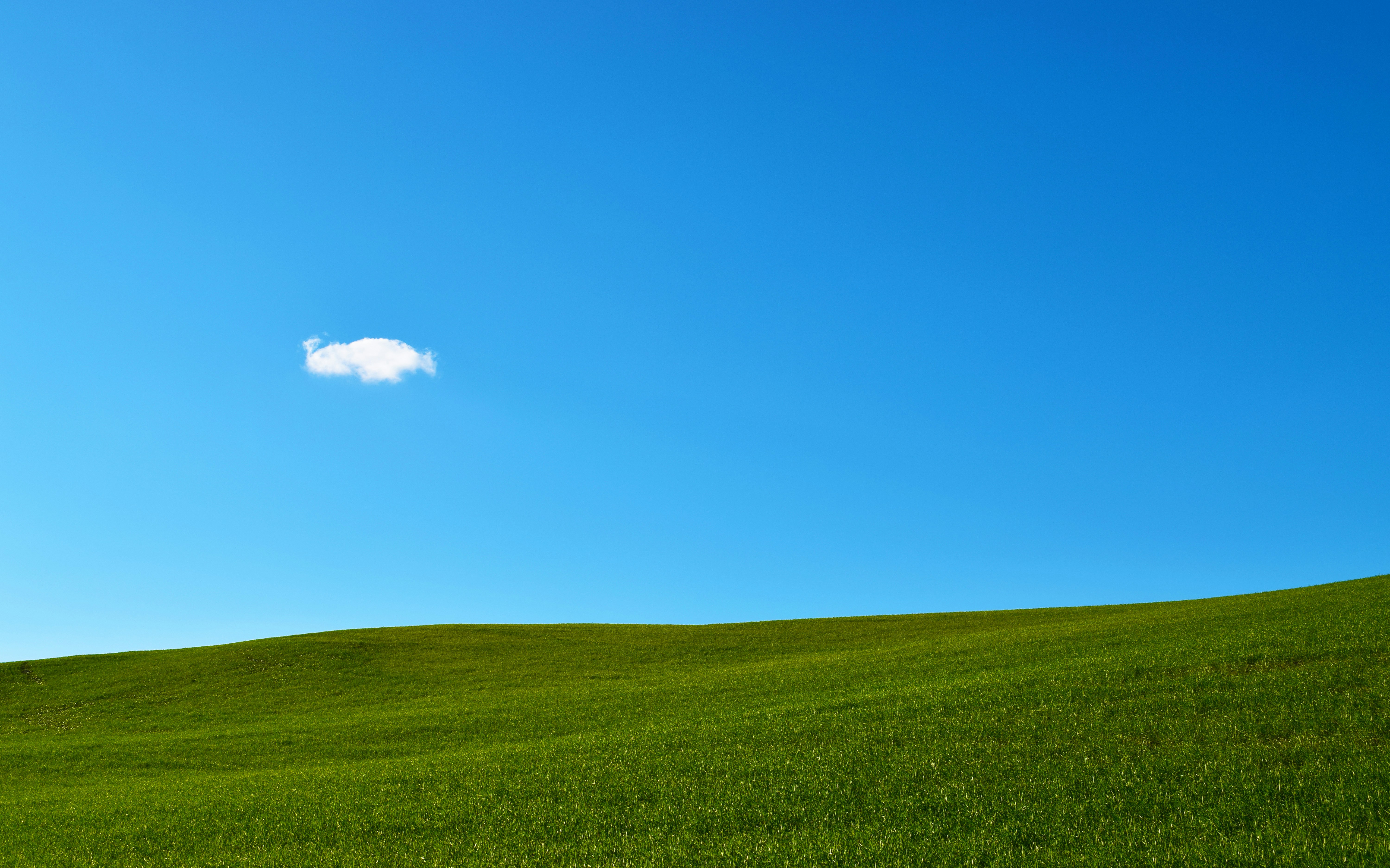green grass field under blue sky