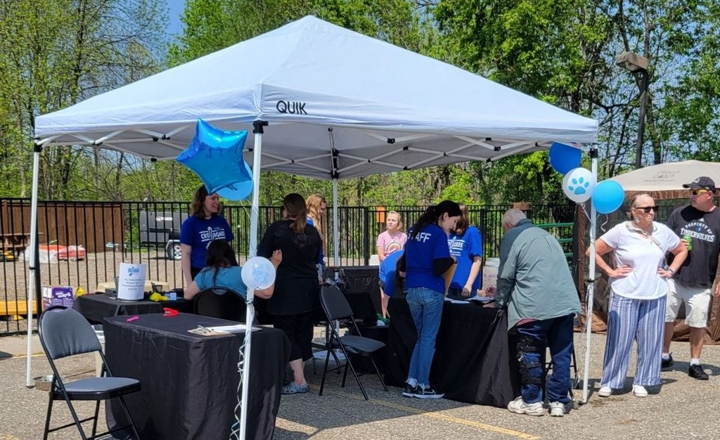Cat and dog laying outside together