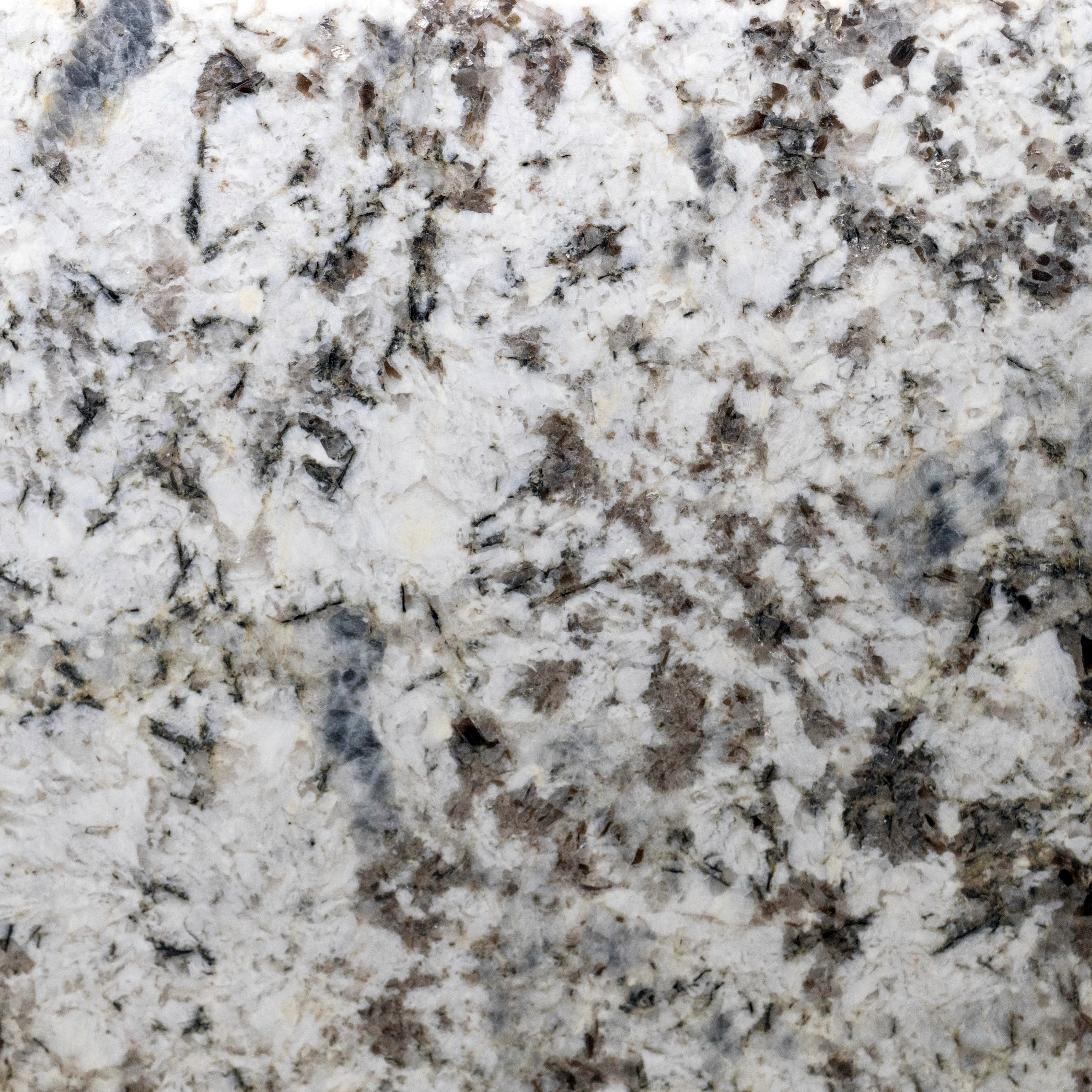 Blue flower granite