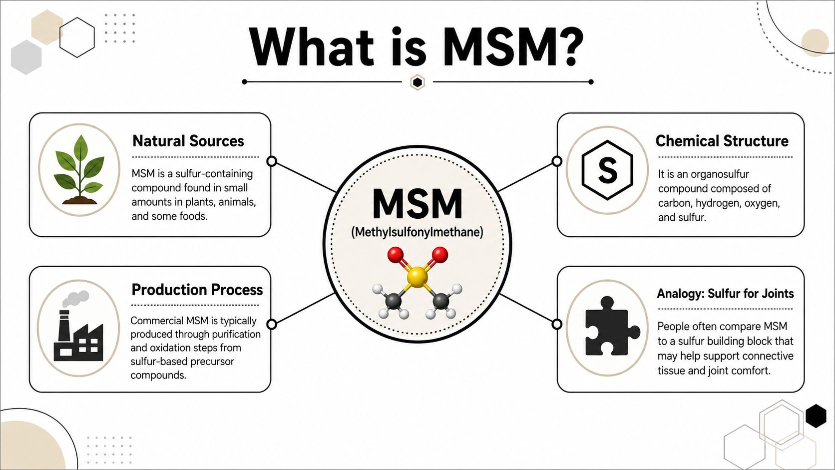 An infographic titled What is MSM explaining the natural sources, chemical structure, production, and joint support benefits.