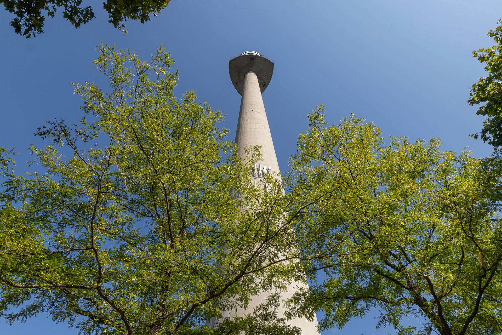 Blick durch Baumkronen auf einen hohen Turm in der Umgebung des begrünten Gastgartens.