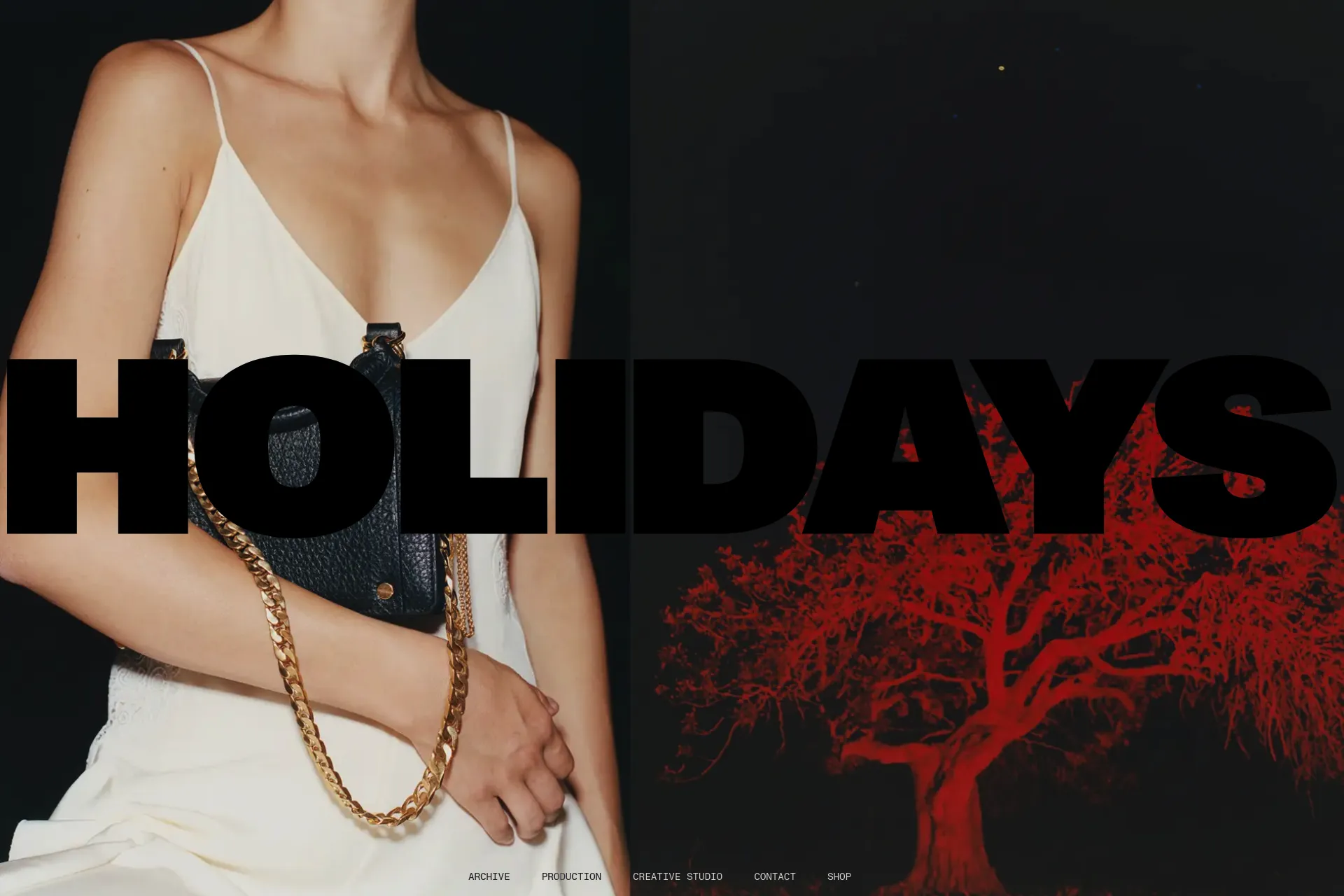 Screenshot of Holidays website