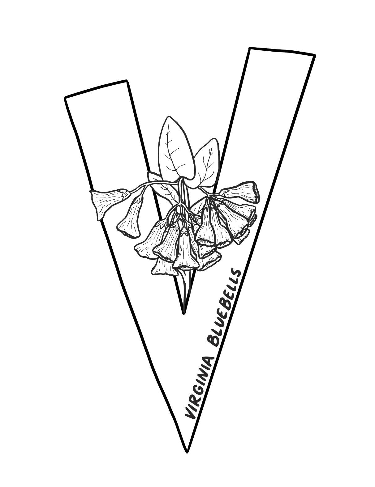 An illustrated coloring page of the Virginia Bluebell, framed by a large letter V.