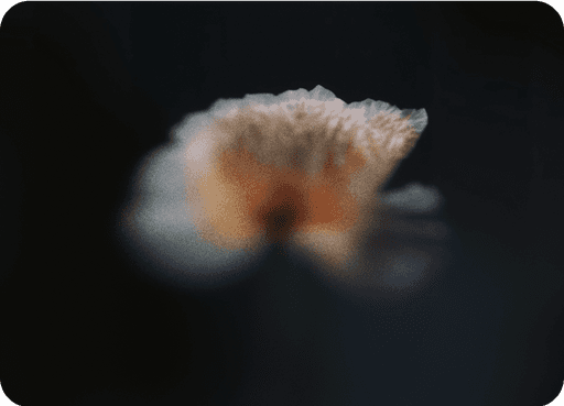 Limitaciones de CRMs tradicionales