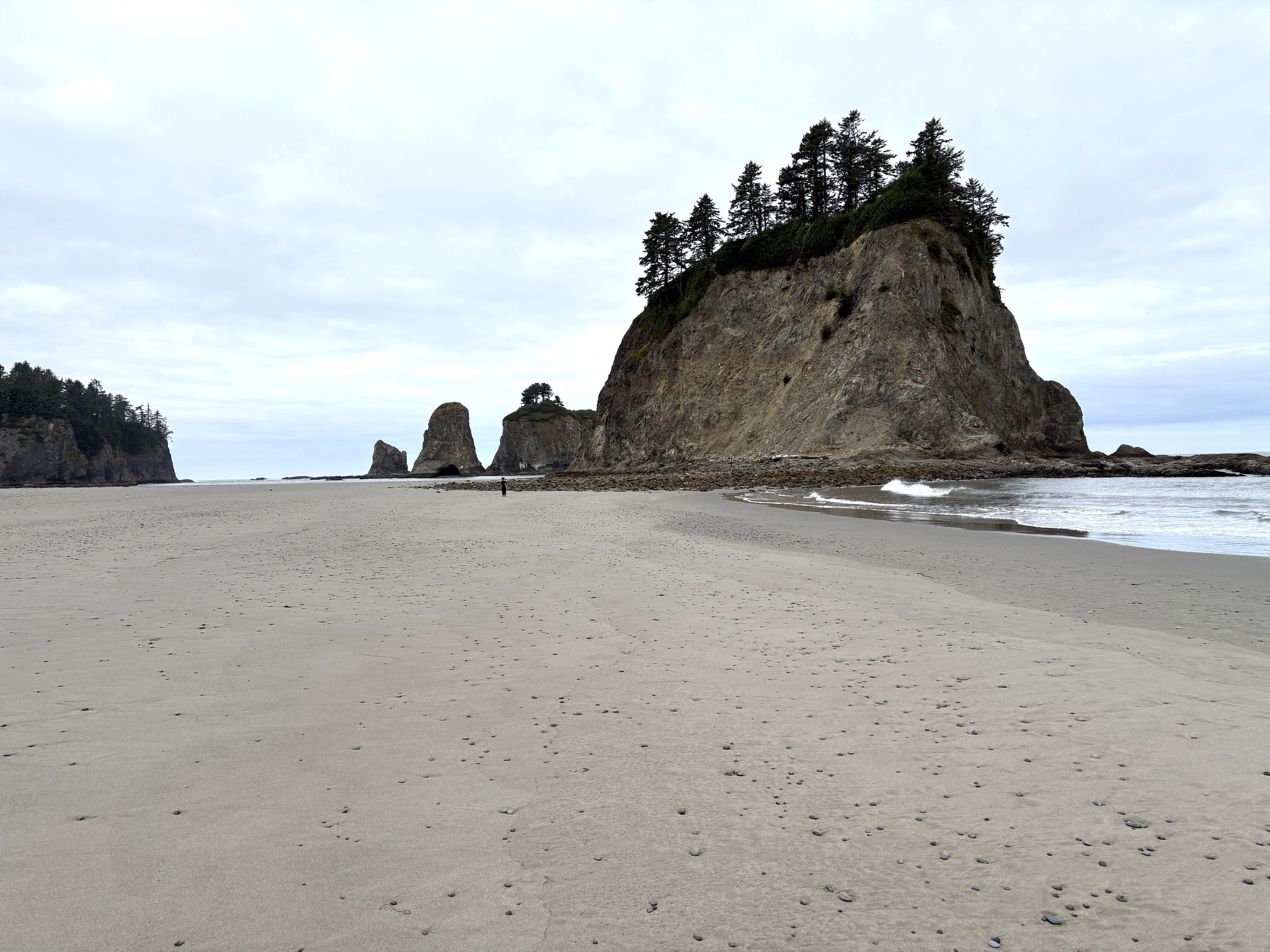 Sea stacks rising from the beach near La Push at low tide