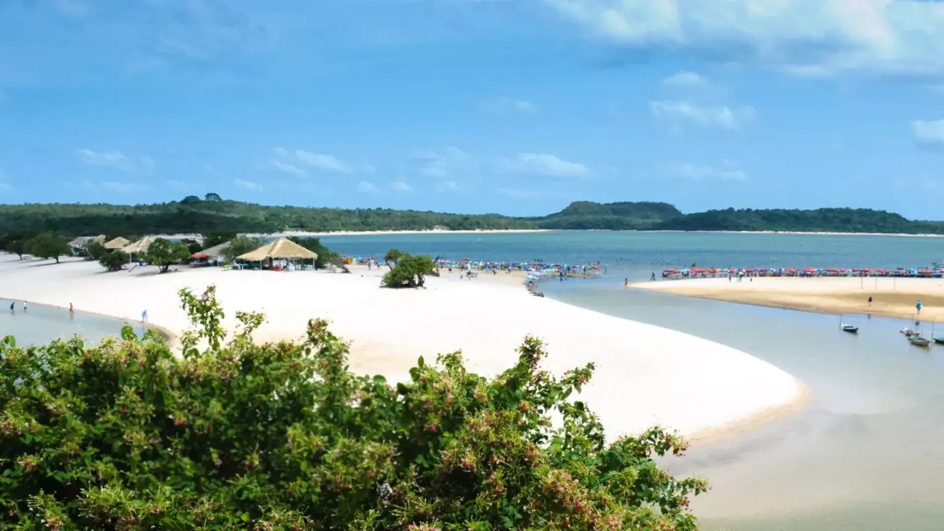 Digital Nomad Brazil