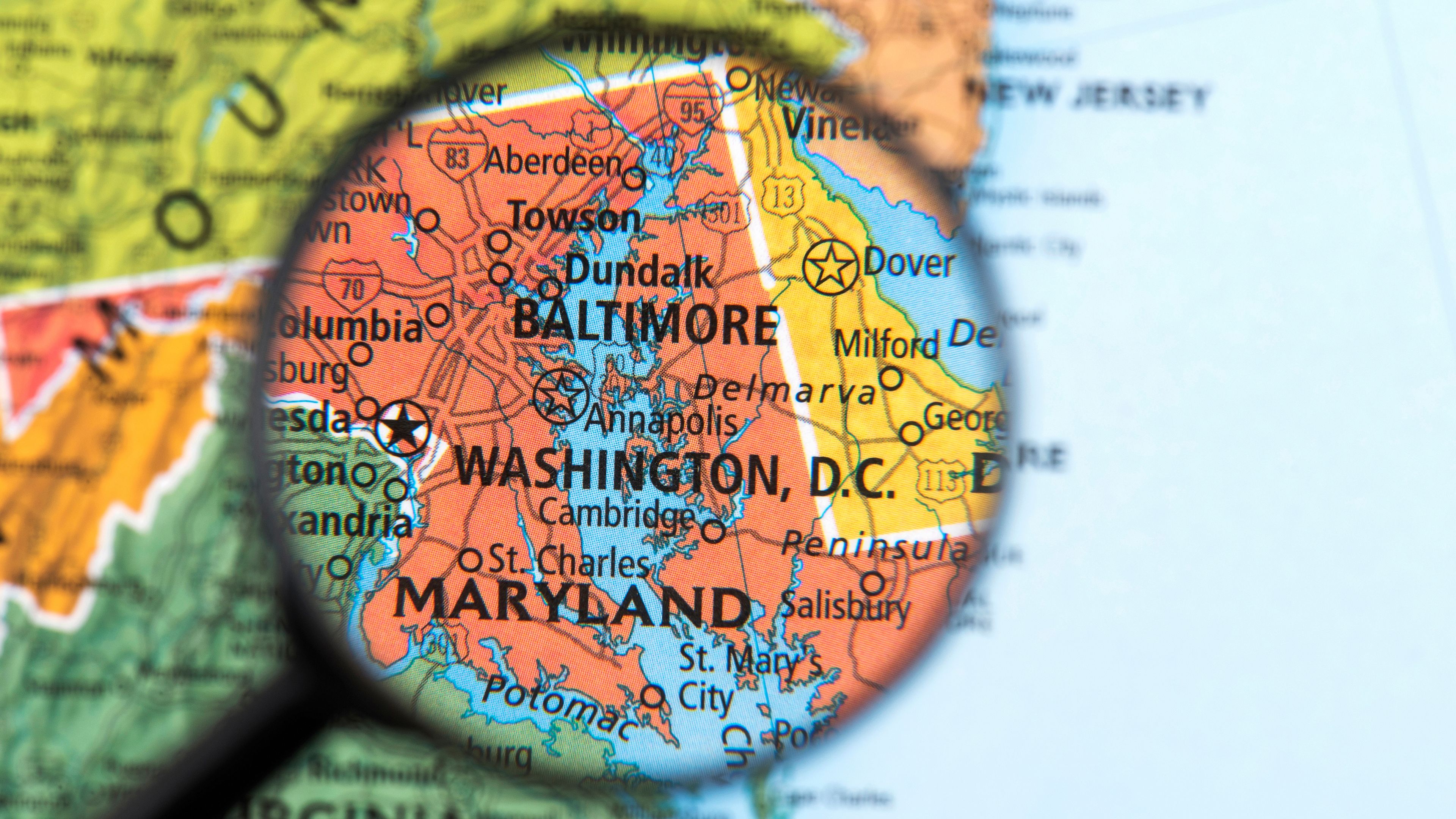 woman and cat joining hands