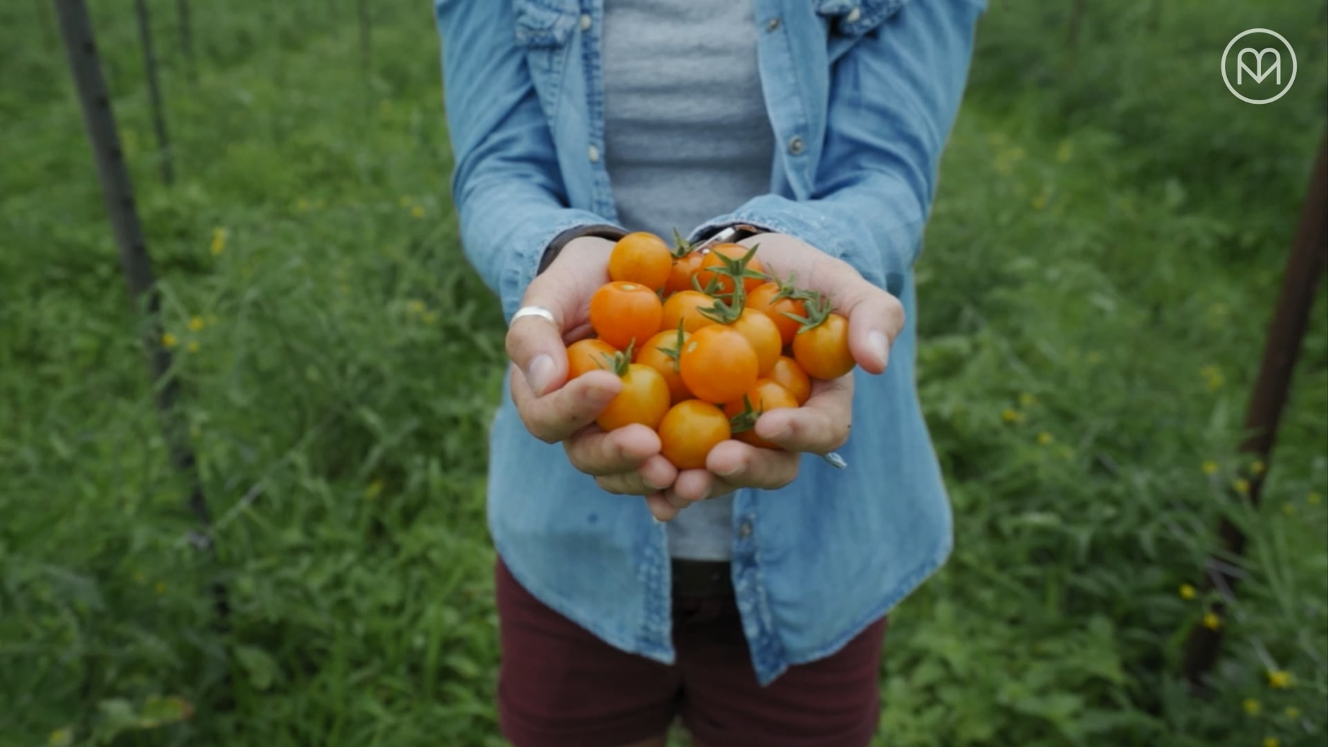 This is a thumbnail for a promotional video filmed by NOMO Films for Visit Virginia Beach