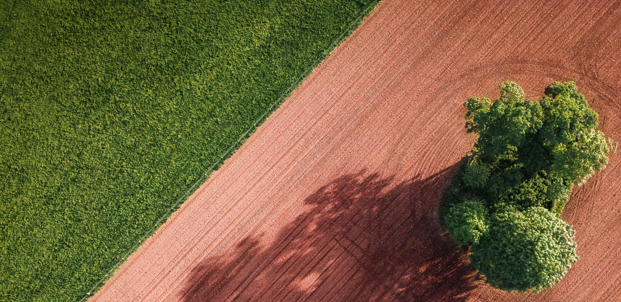 Aerial view of agricultural landscape