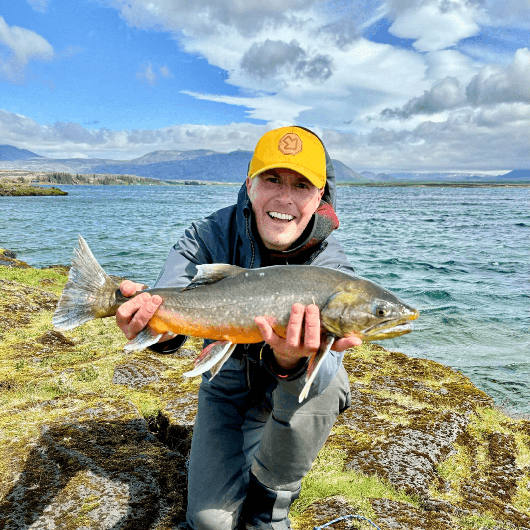 Island, Brown Trout, Arctic char, fjeldørred