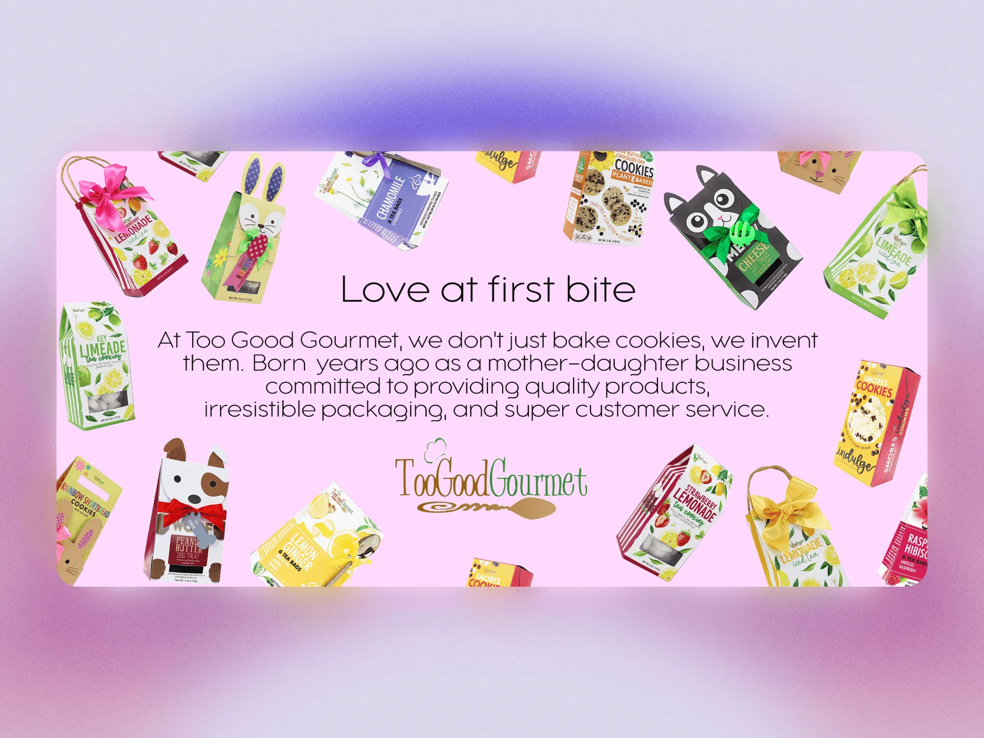 Design portfolio project showing Jeffrey Hakim's digital illustration of Too Good Gourmet branding identity and packaging design using Adobe Creative Suite.