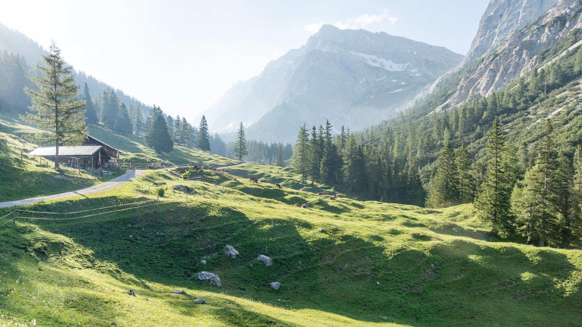 Aussenansicht Marigold