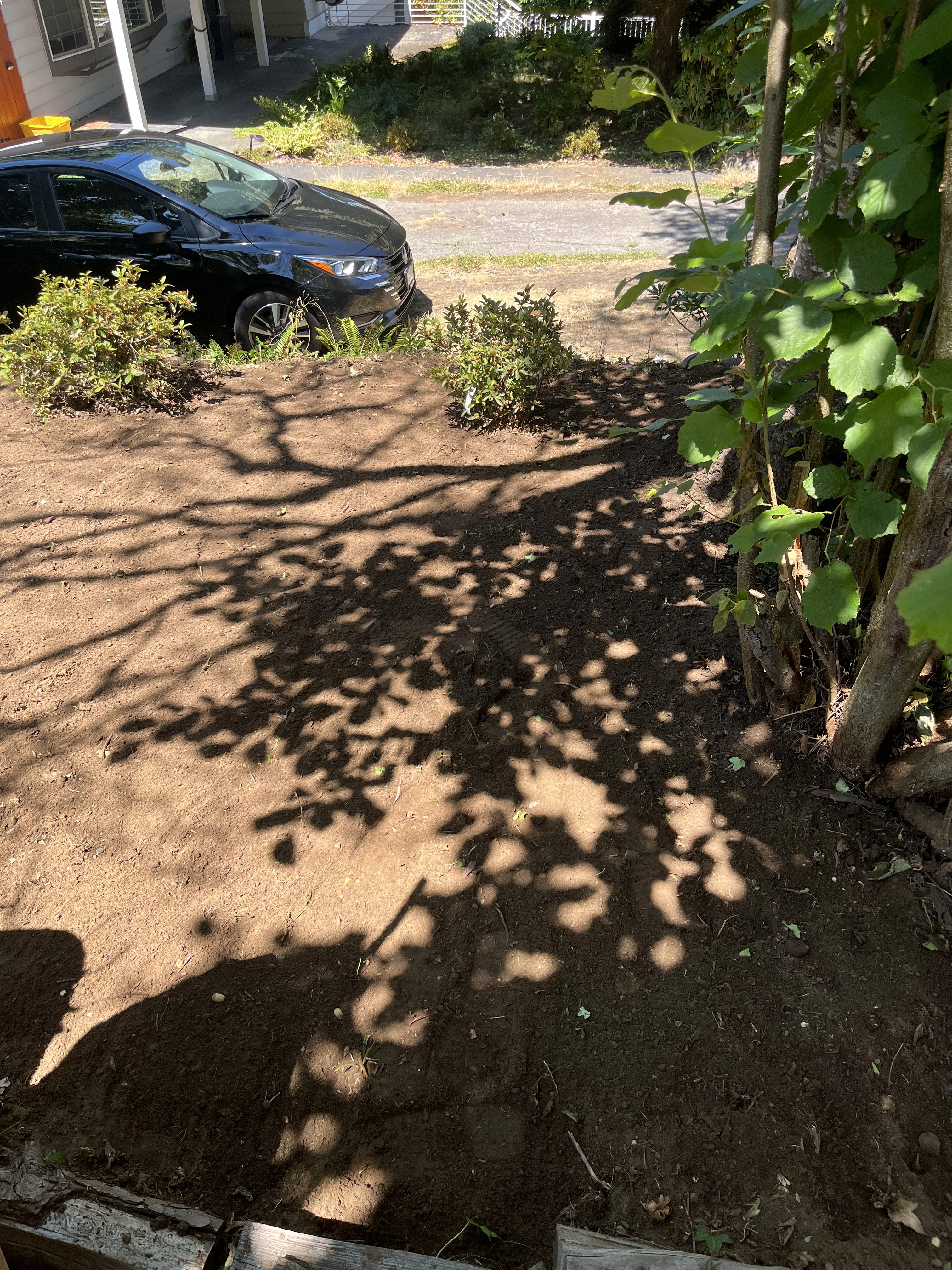 Private garden