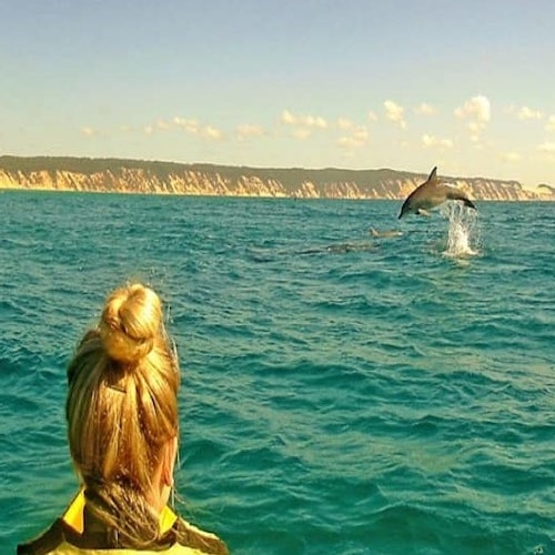 Noosa: Day Tour with Dolphin View, Sea Kayak & Beach 4x4 Adventure tickets
