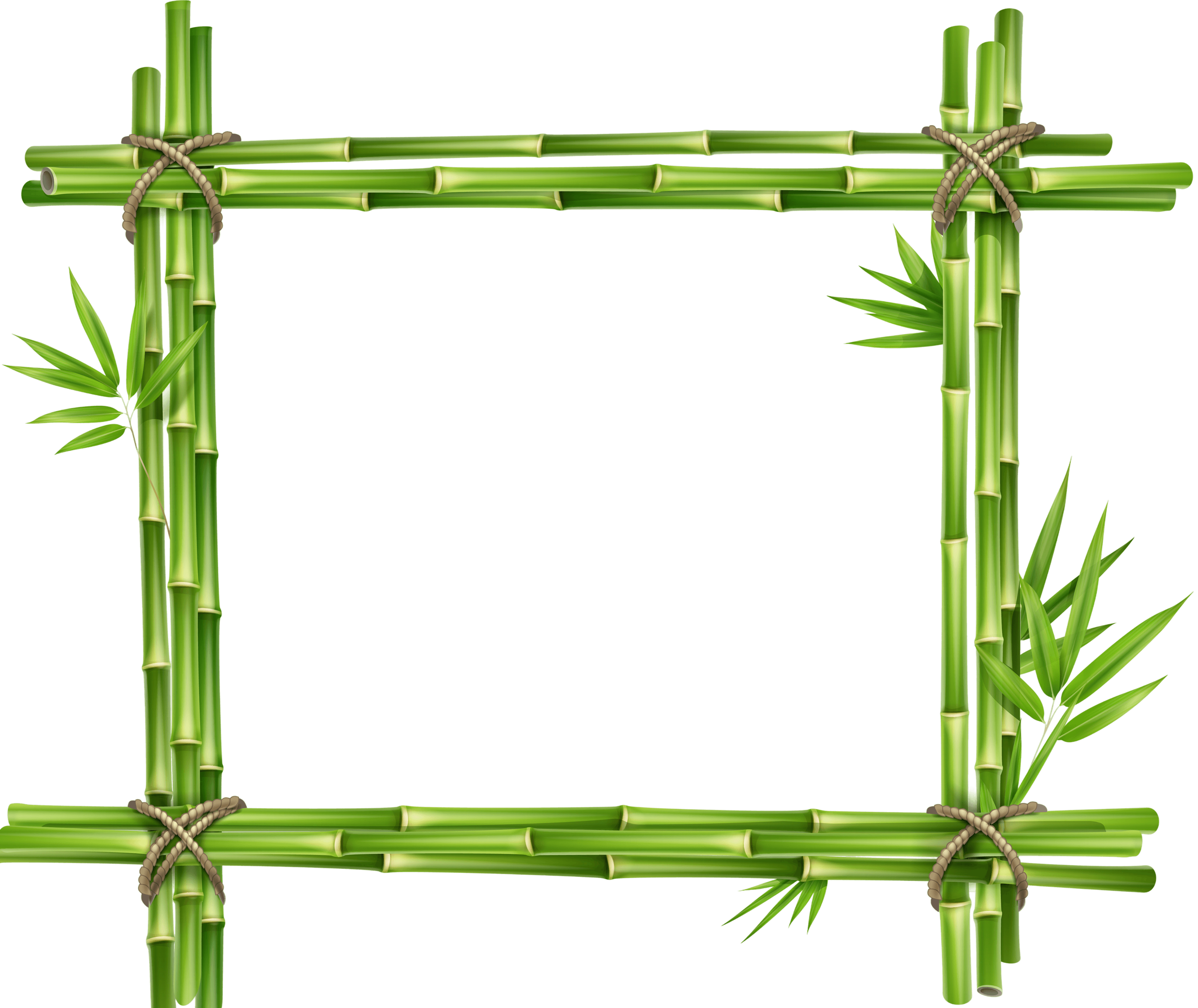 Bamboo frame with green leaves