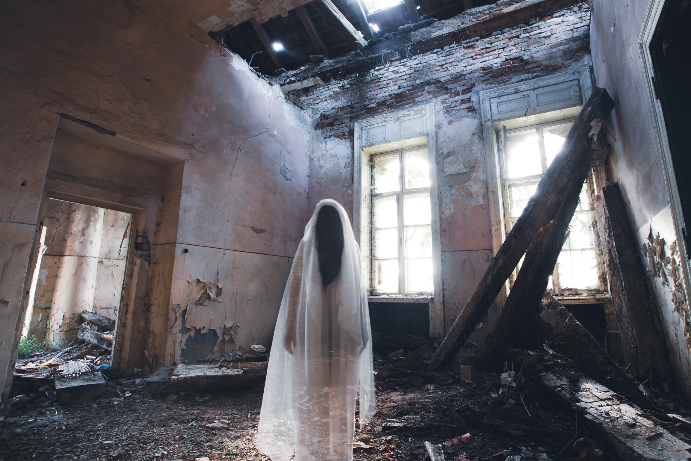 cosmic films distributor